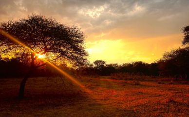 sunset sunset